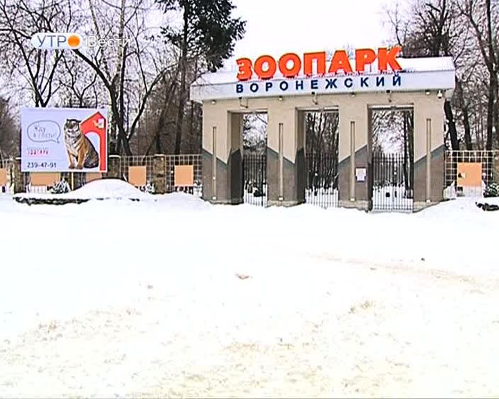 Николай Дроздов отреагировал на новость о погибели птиц в зоопарке Воронежа